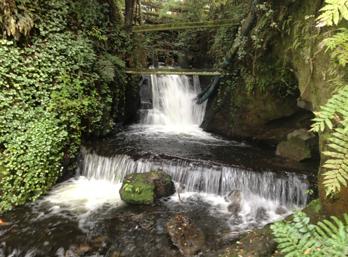Hermosa propiedad orilla del lago Villarrica