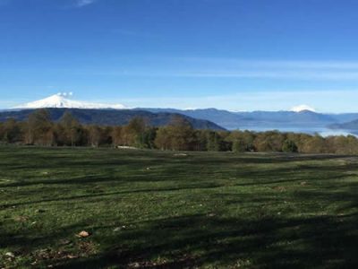 FUNDO CHAURA 574 HECTAREAS. AGRICOLA GANADERO FORESTAL CON VISTA AL LAGO CALAFQUEN