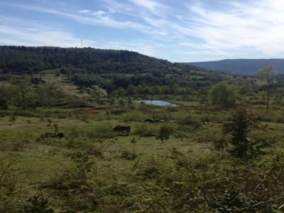 CAMPO CHESQUE 74 HAS. SECTOR CHESQUE