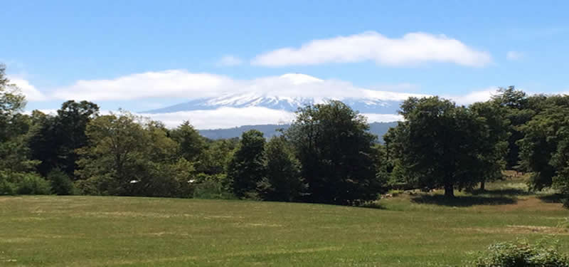 FUNDO CHAURA 574 HECTAREAS. AGRICOLA GANADERO FORESTAL CON VISTA AL LAGO CALAFQUEN