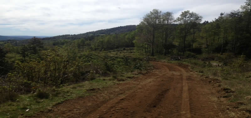 CAMPO CHESQUE 74 HAS. SECTOR CHESQUE