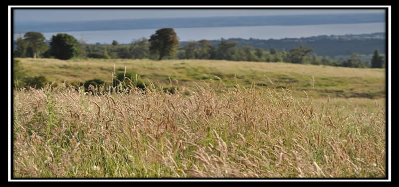 Campo Rucatayo Sector Santa Laura