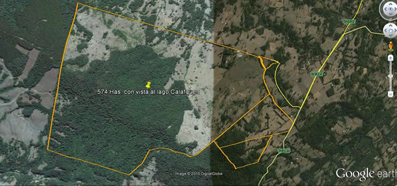 FUNDO CHAURA 574 HECTAREAS. AGRICOLA GANADERO FORESTAL CON VISTA AL LAGO CALAFQUEN