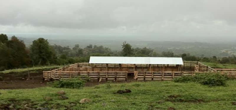Campo Rucatayo Sector Santa Laura